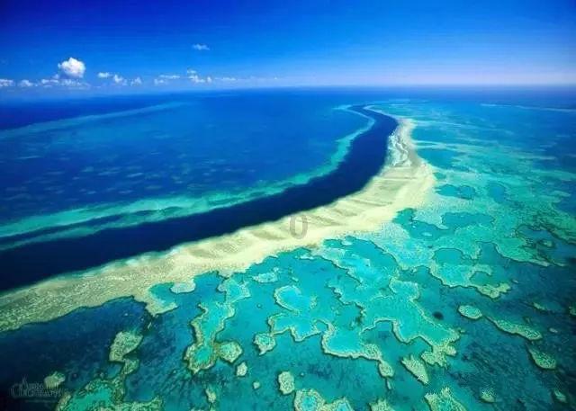 2023简阳第20届羊肉美食文化旅游季 持续释放消费新活力