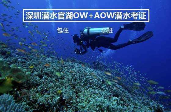 全民剧本大师内置菜单